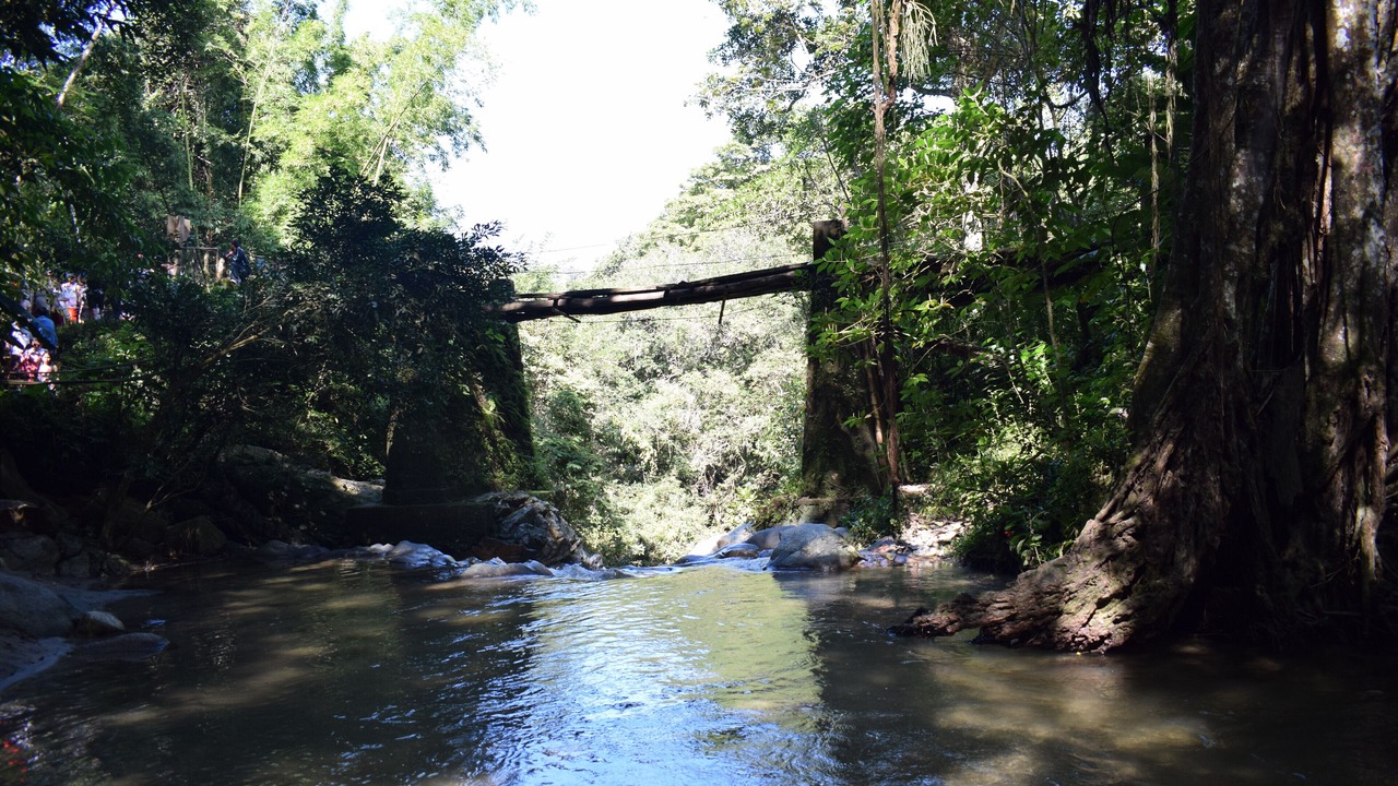Photo of Outdoor in Minca