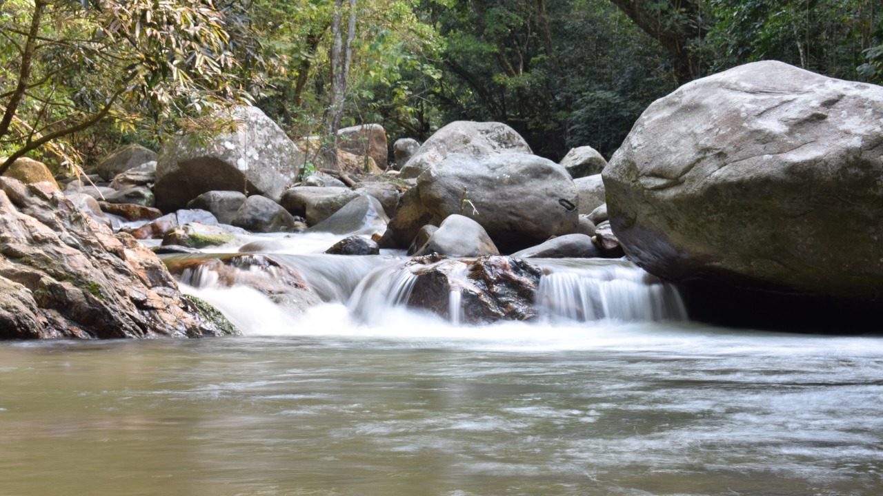 Photo of Outdoor in Minca