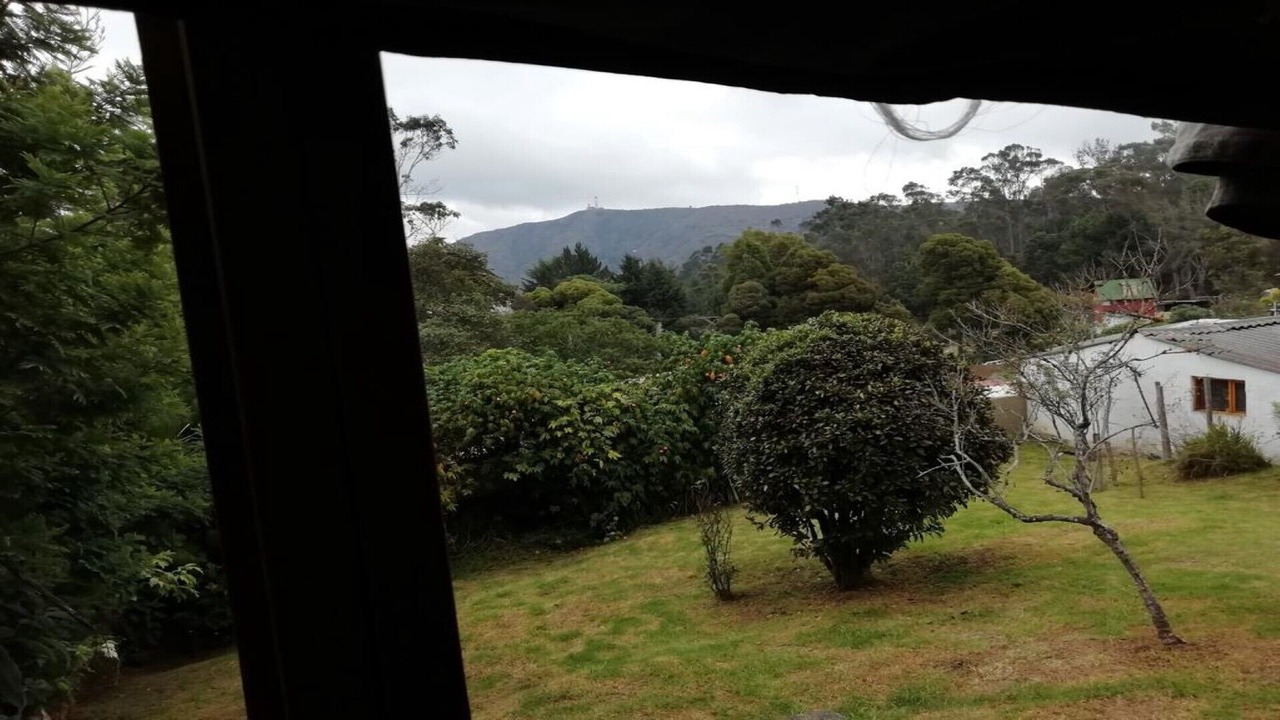 Photo of Others in Bogota