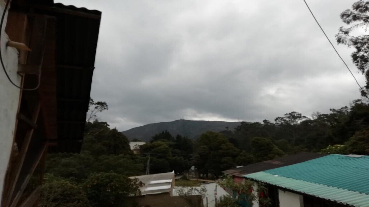 Photo of Others in Bogota