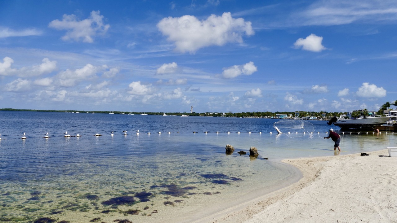 Photo of Others in Key Largo Village