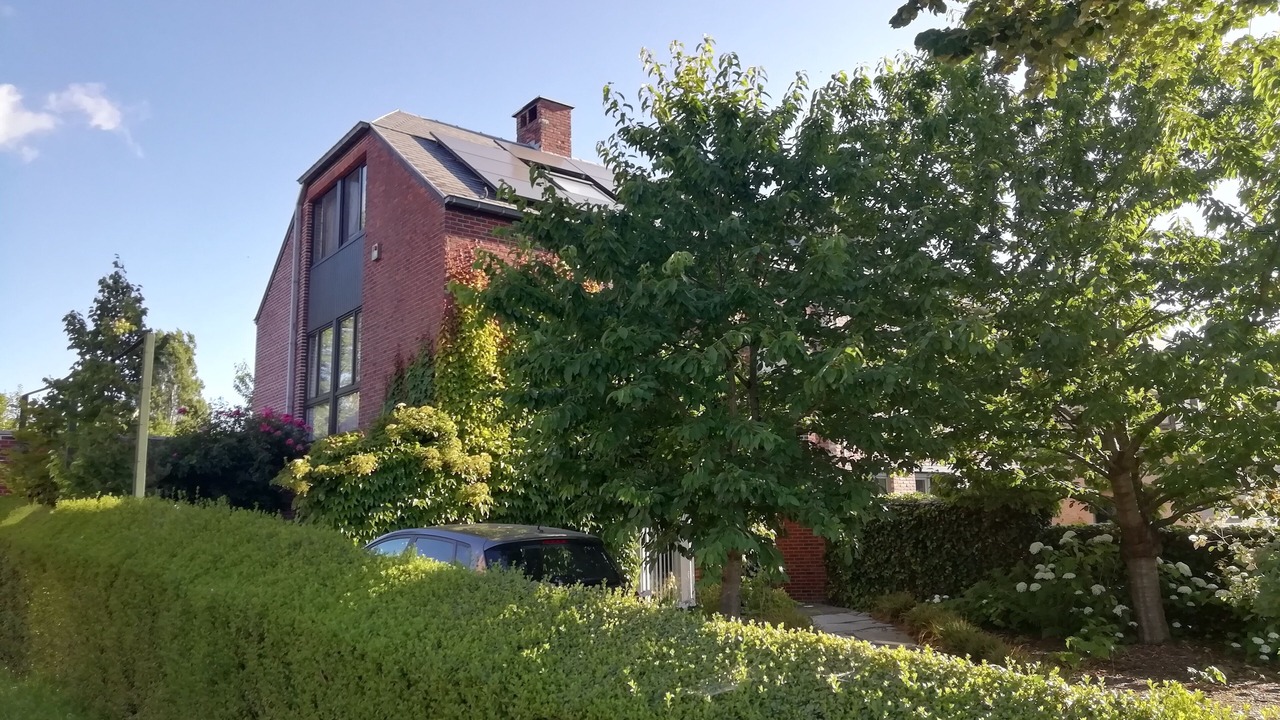 Photo of Outdoor in Zwijndrecht