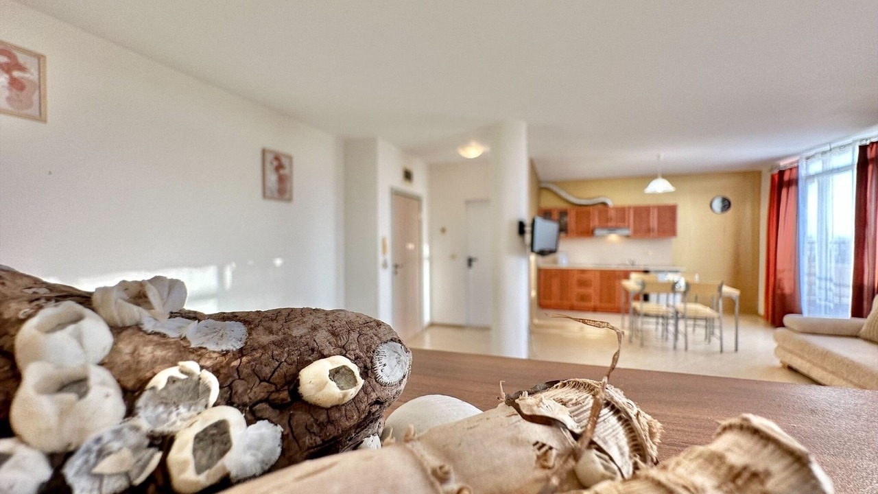 Photo of Livingroom in Aheloy
