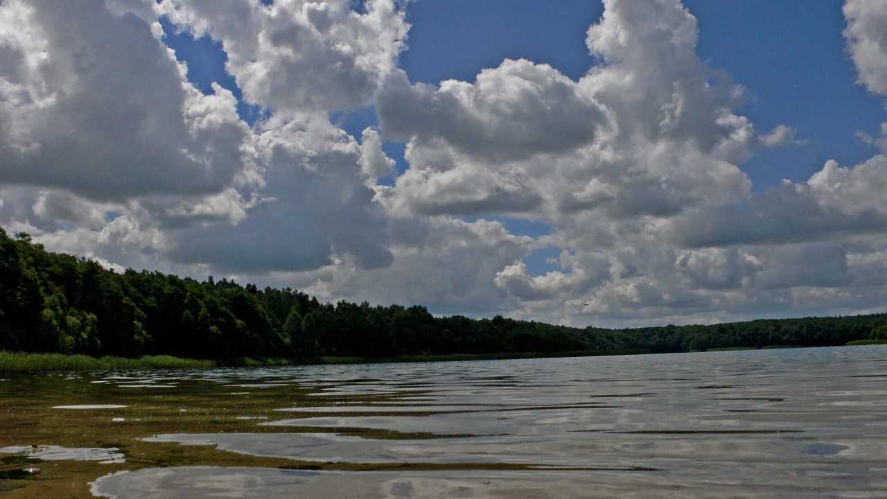 Photo of Others in Angermuende