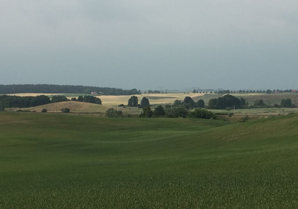 Photo of Others in Angermuende