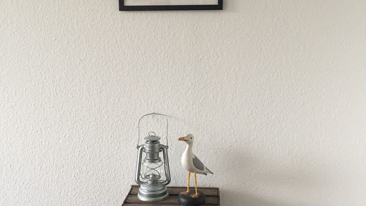Photo of Others in Schilksee