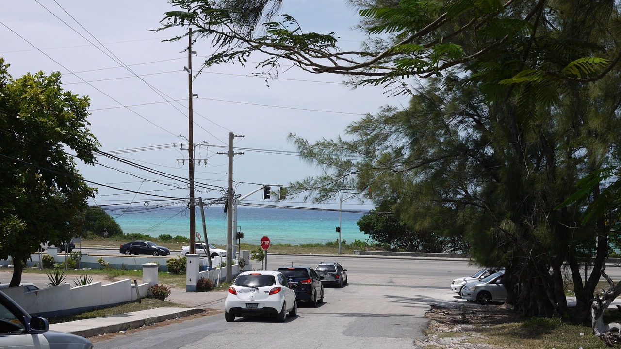 Photo of Others in IronShore Estates