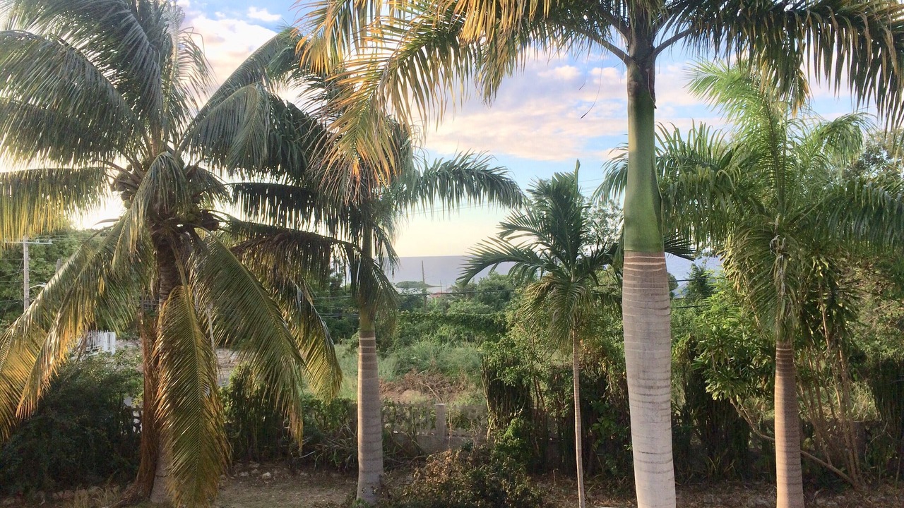 Photo of Outdoor in IronShore Estates