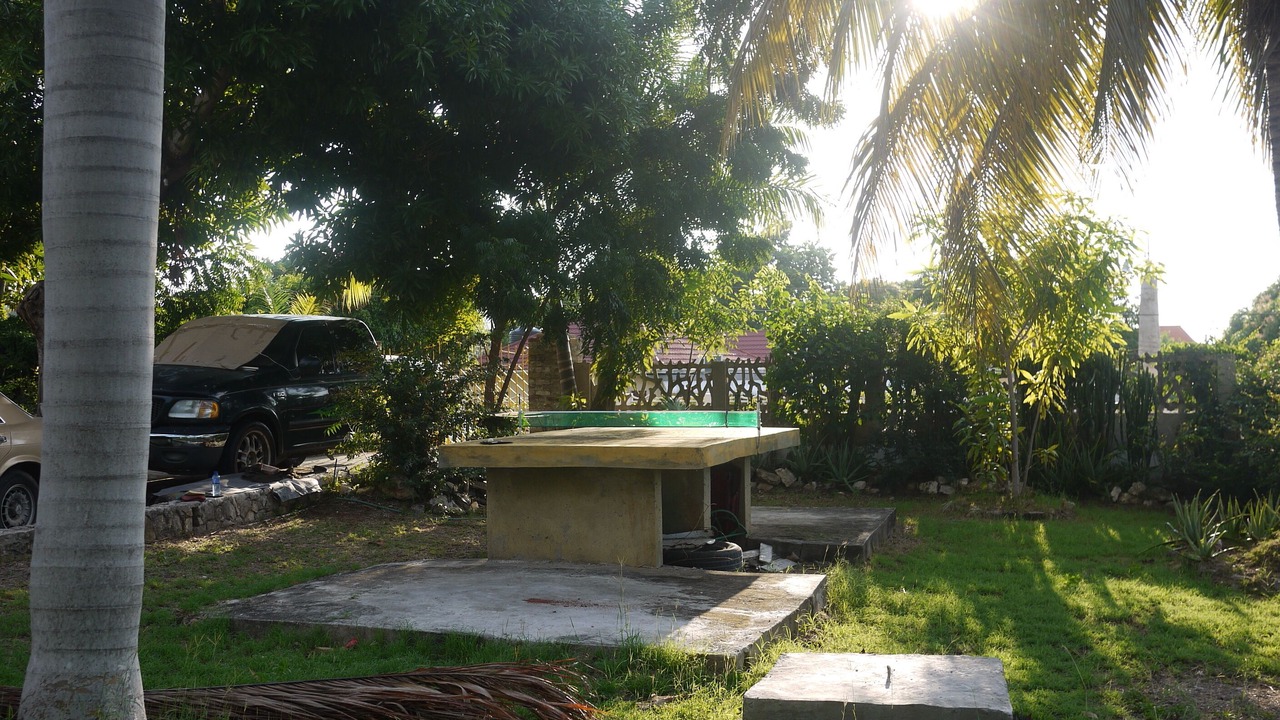 Photo of Outdoor in IronShore Estates