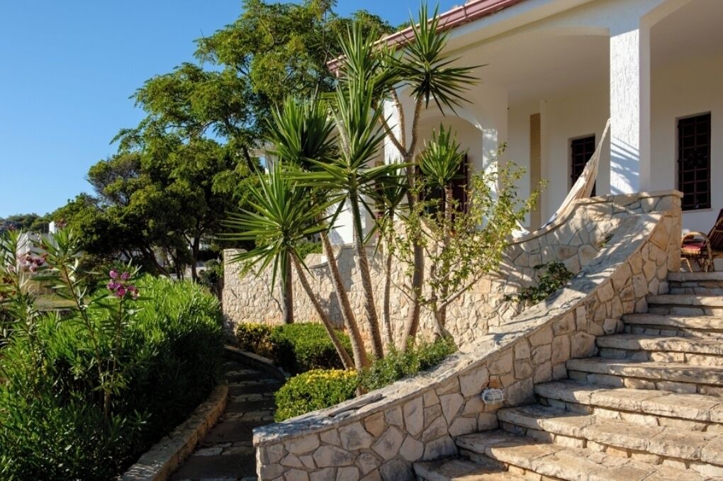 Photo of Outdoor in Torre Vado