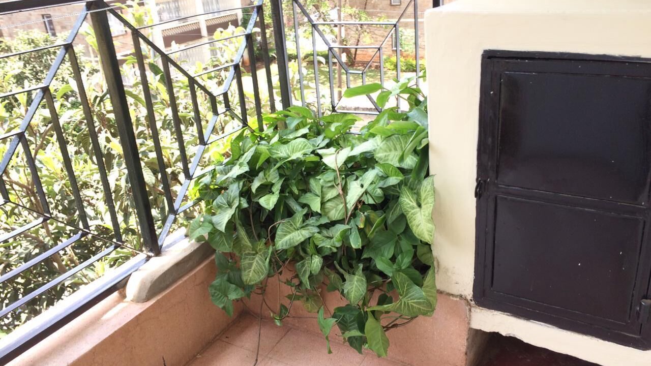 Photo of Outdoor in Kilimani