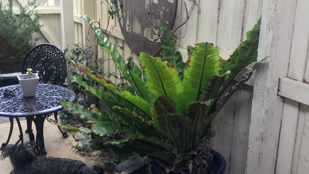 Photo of Outdoor in Carrum