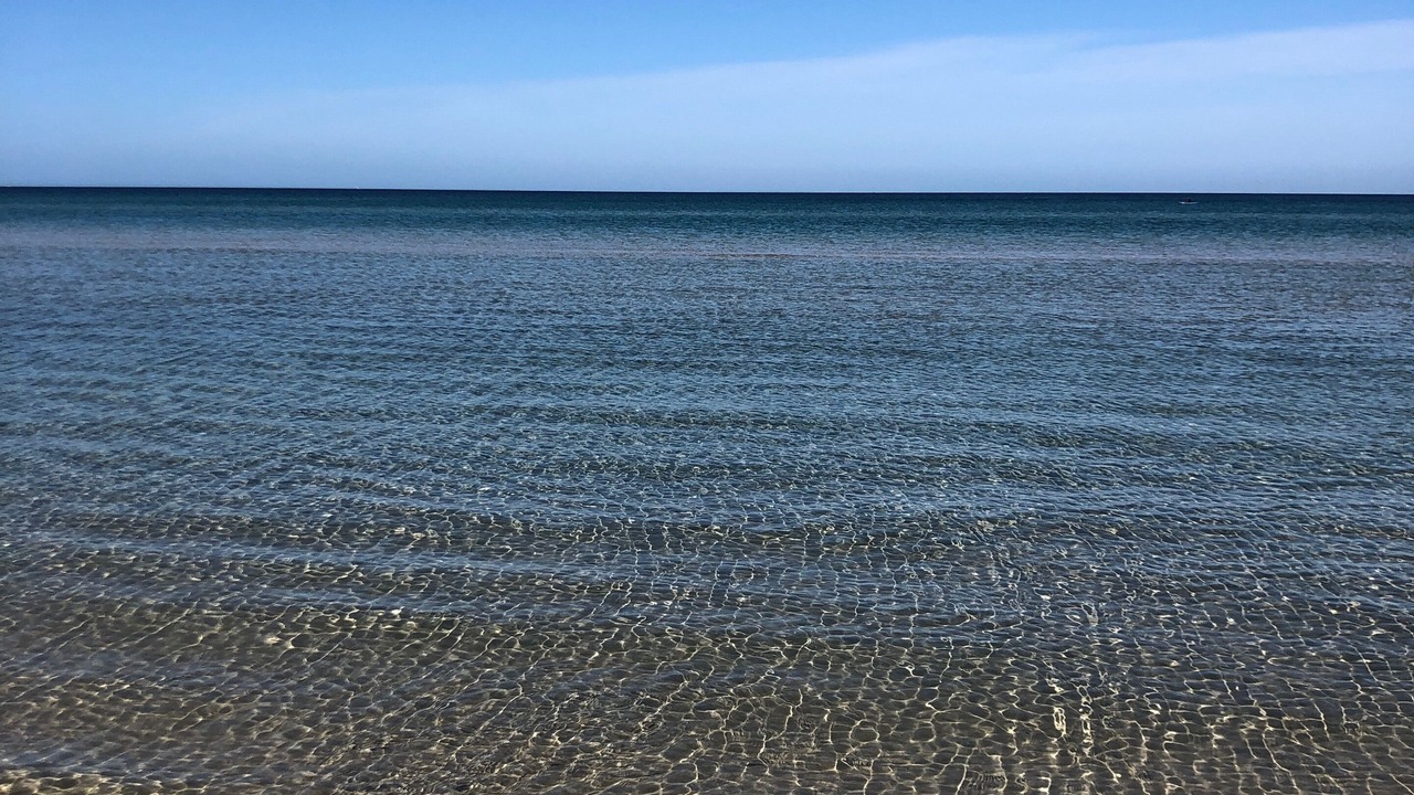 Photo of Others in Carrum