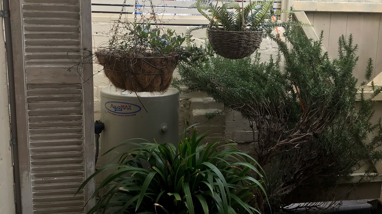 Photo of Outdoor in Carrum