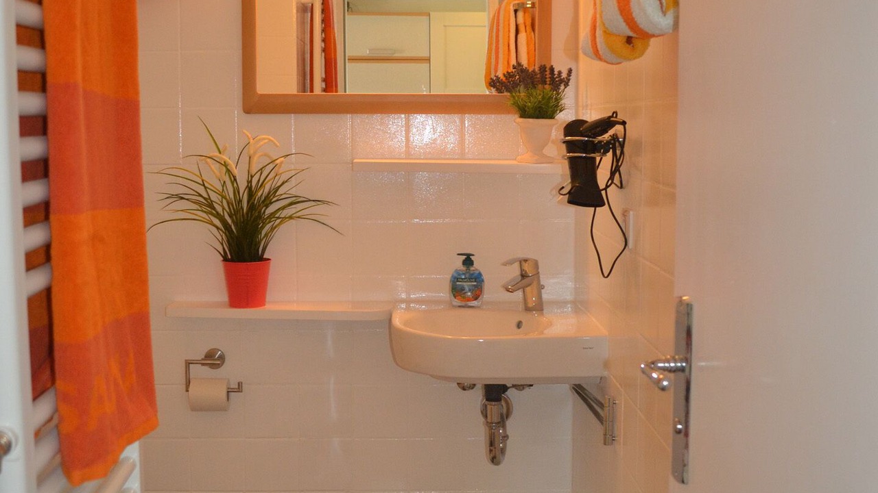 Photo of Bathroom in Reichenau