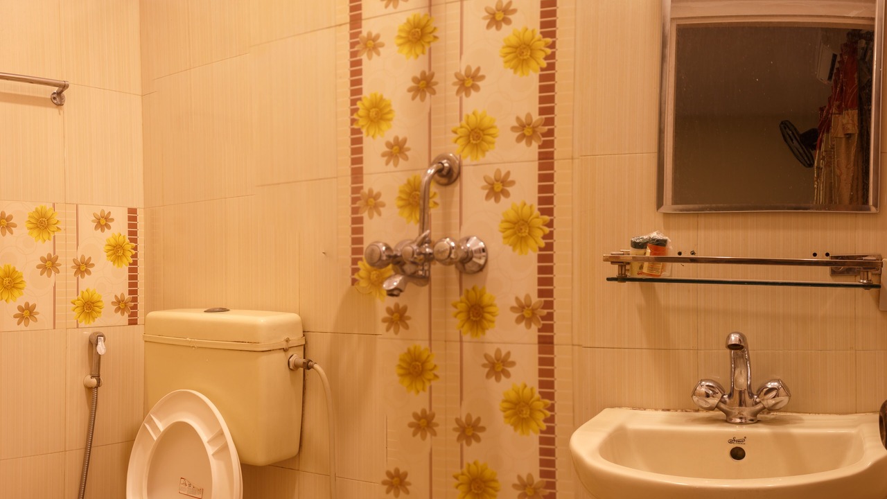Photo of Bathroom in Thamel