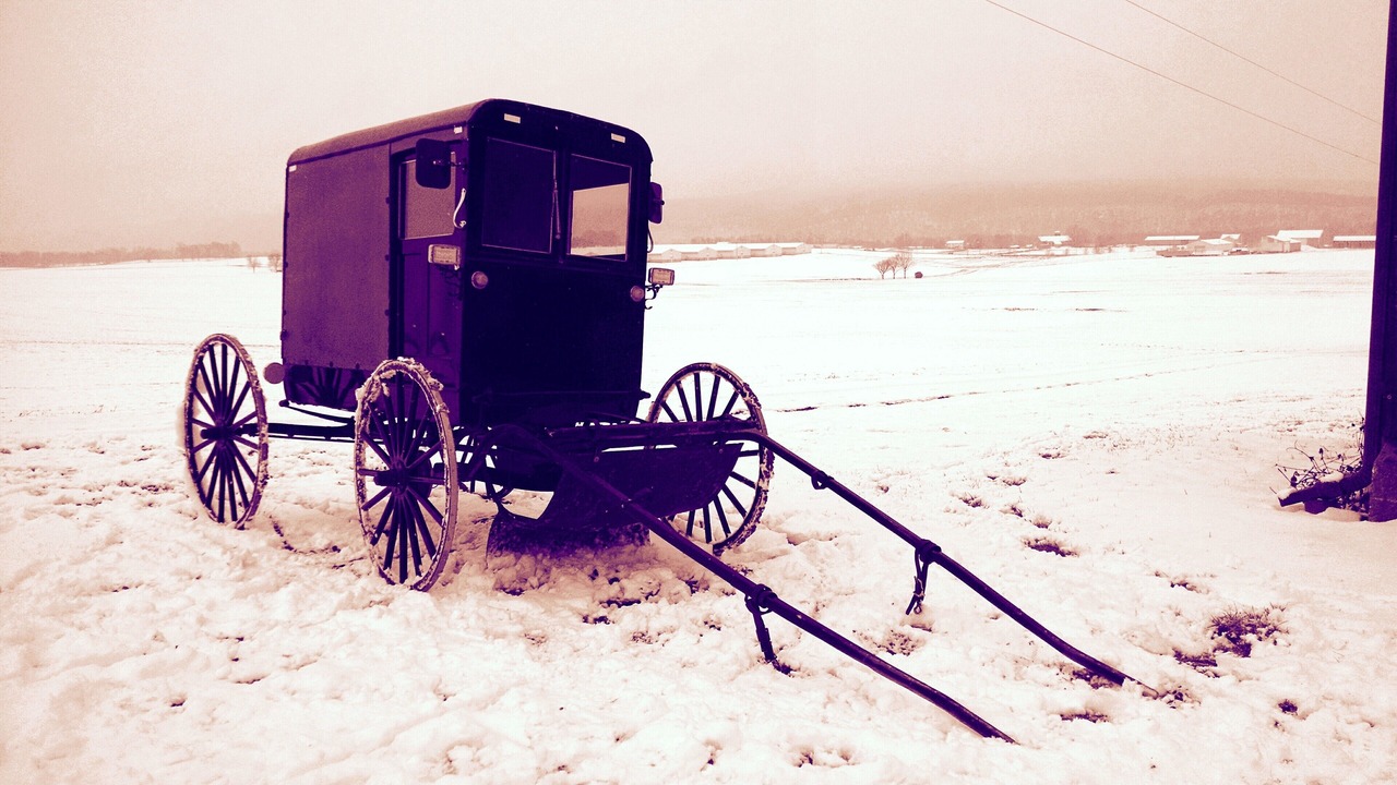 Photo of Others in Bainbridge