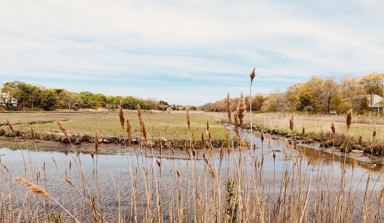 Photo of Outdoor in Westhampton