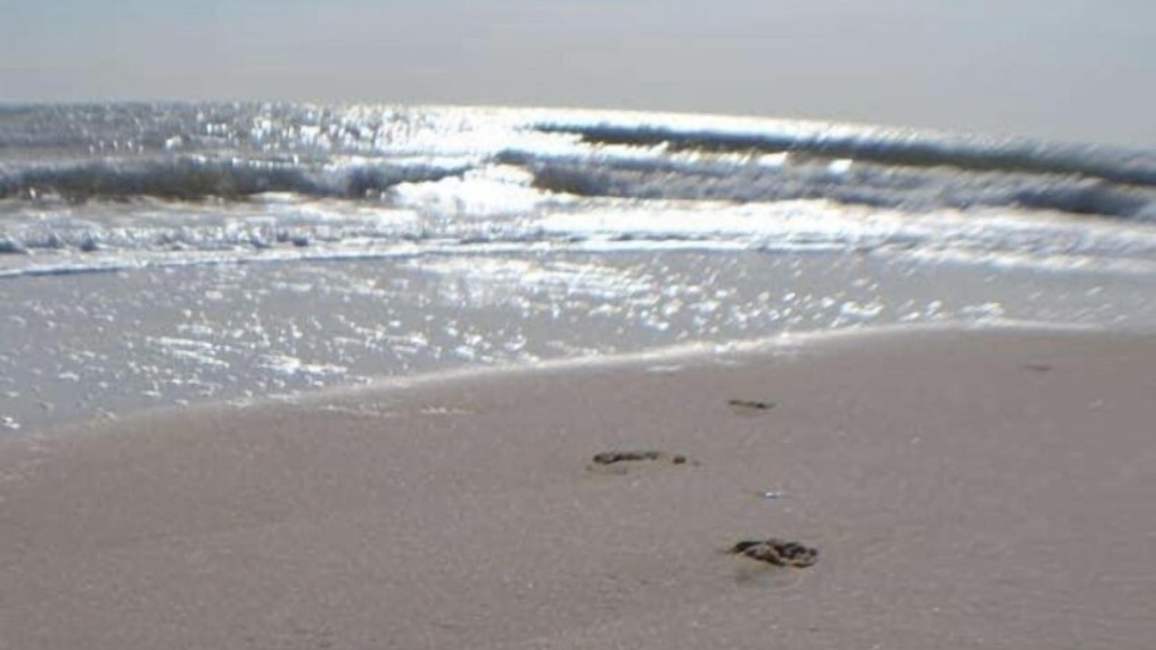 Photo of Others in Westhampton