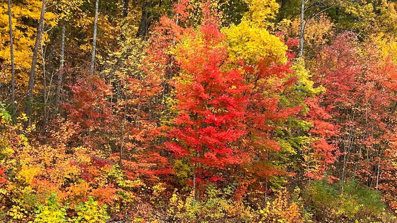 Photo of Outdoor in Chalet Village North