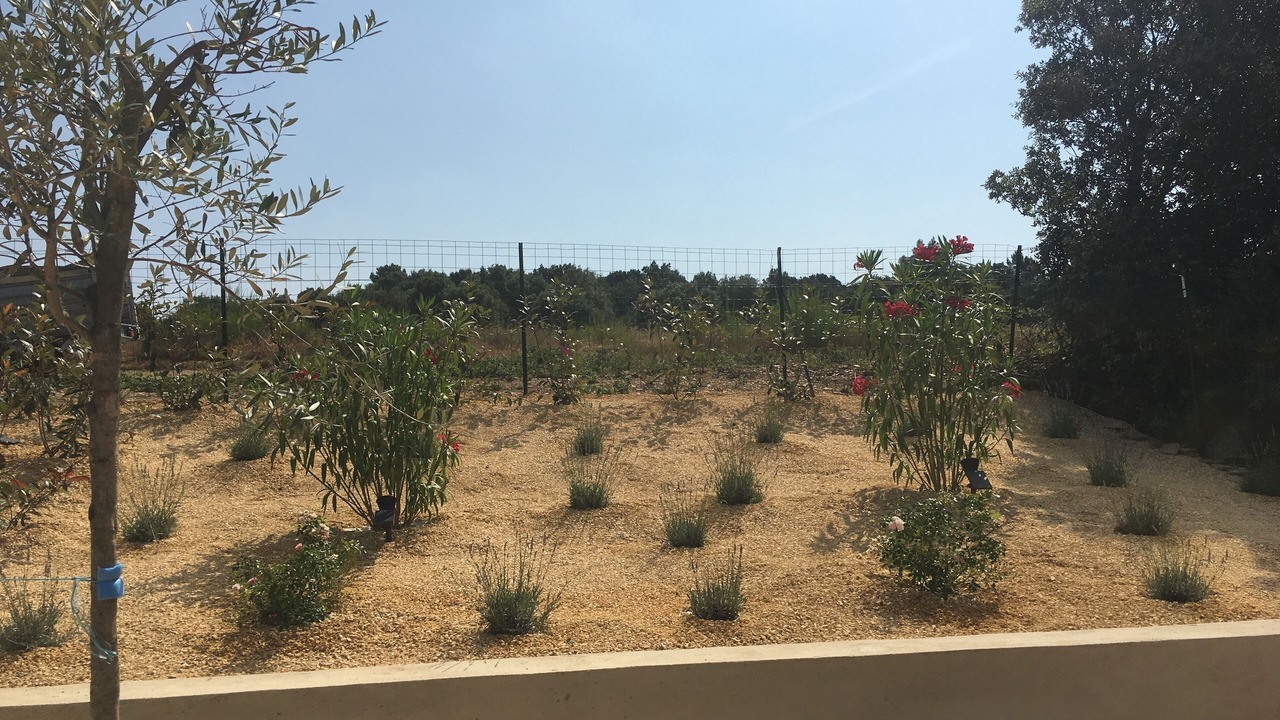 Photo of Outdoor in Rompon