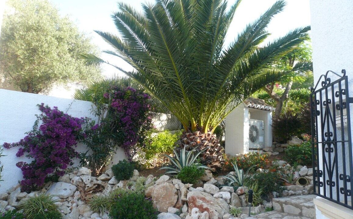 Photo of Outdoor in Pedreguer