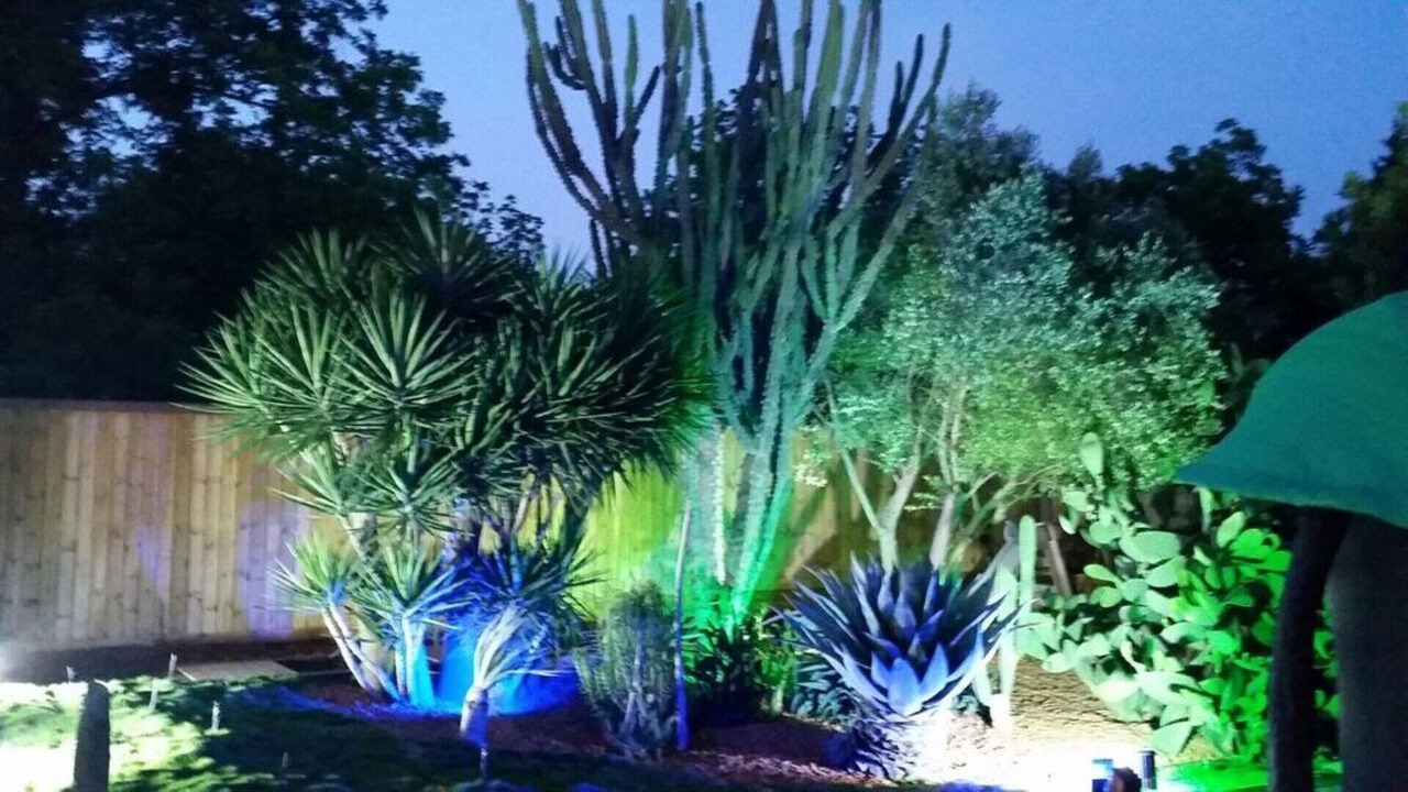 Photo of Outdoor in Drom HaSharon