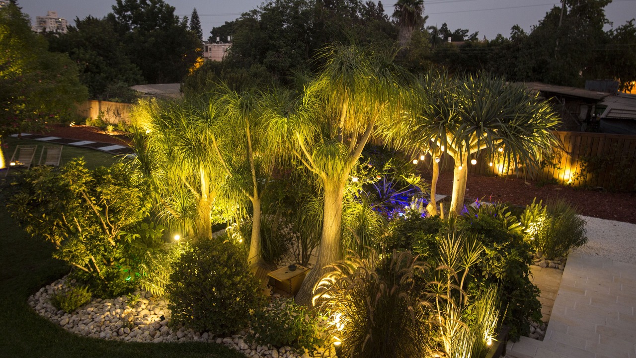 Photo of Outdoor in Drom HaSharon