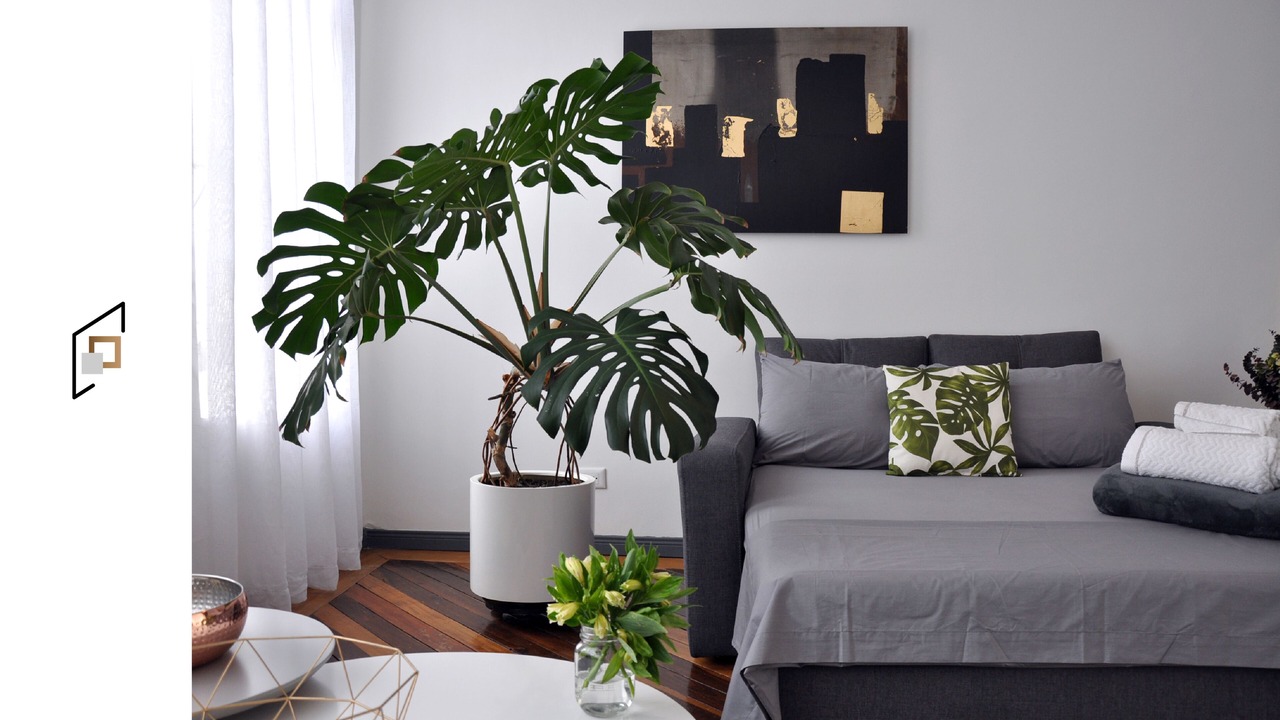 Photo of Livingroom in La Candelaria