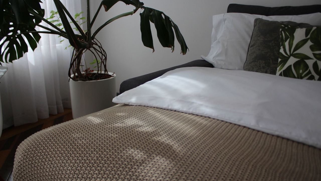 Photo of Livingroom in La Candelaria