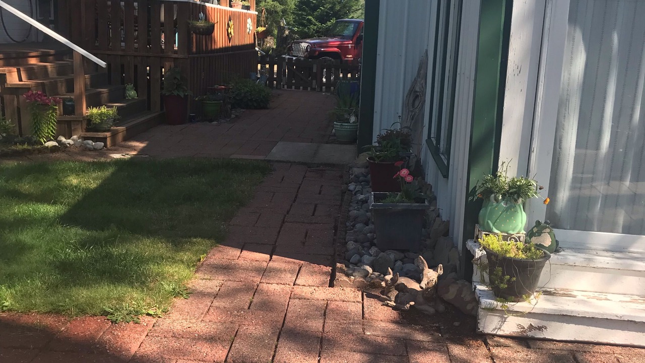 Photo of Outdoor in Packwood