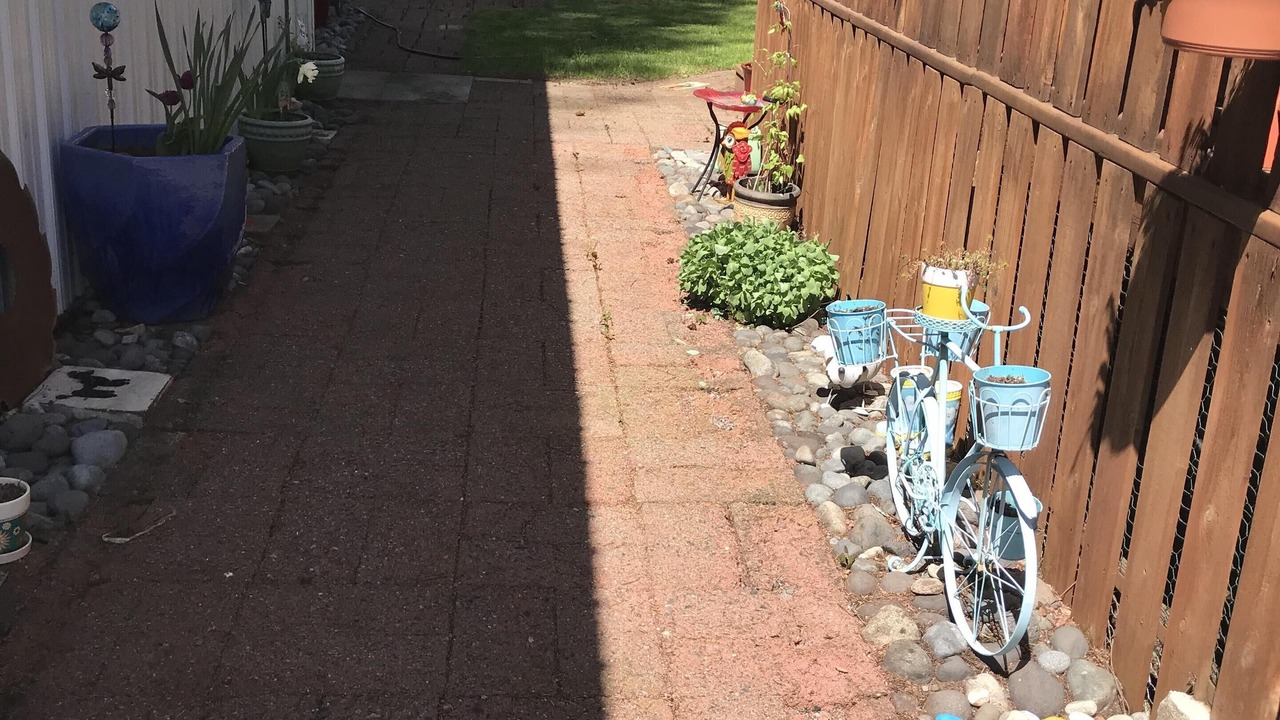 Photo of Outdoor in Packwood