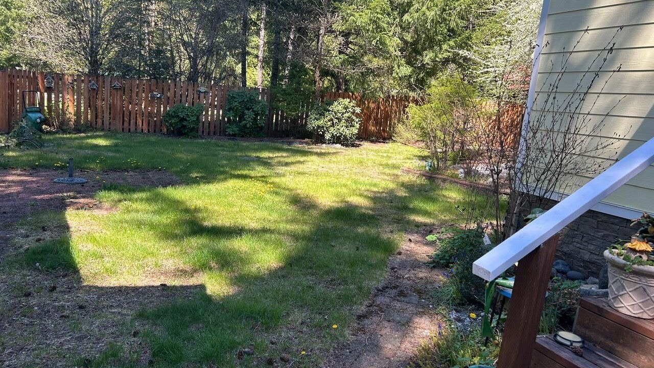 Photo of Outdoor in Packwood