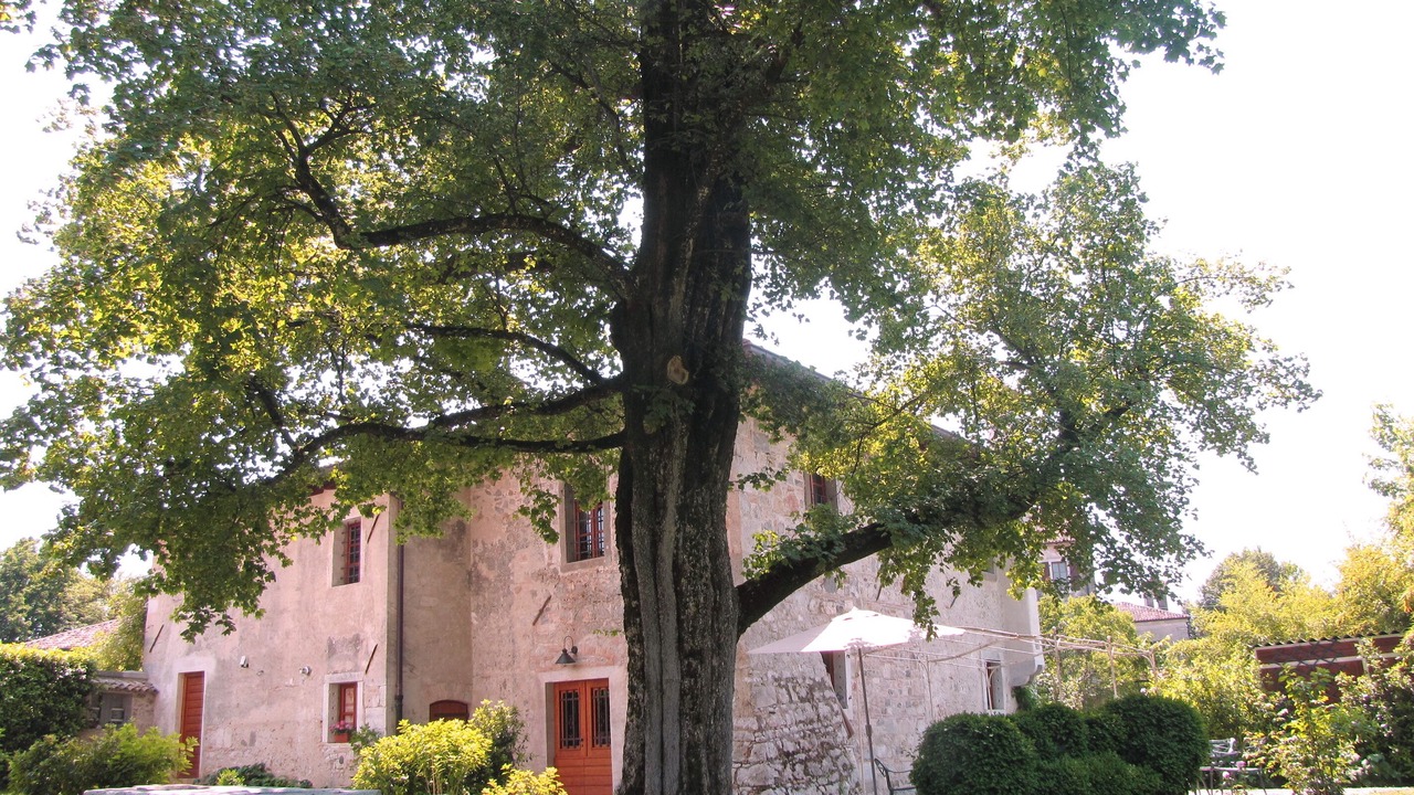 Photo of Outdoor in Strassoldo