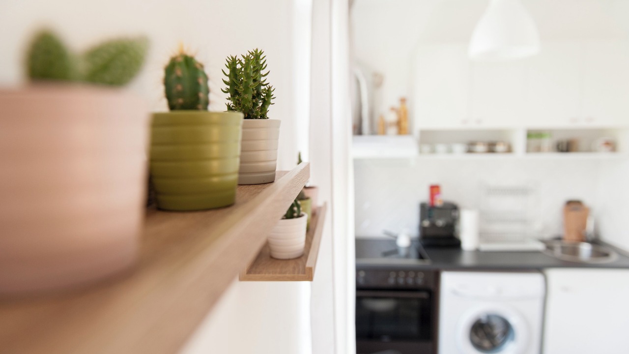 Photo of Kitchen in Sofia City Center