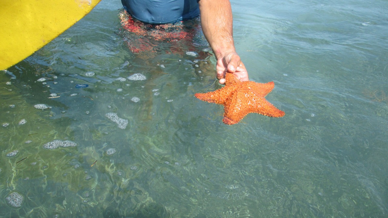 Photo of Others in Key Colony Beach