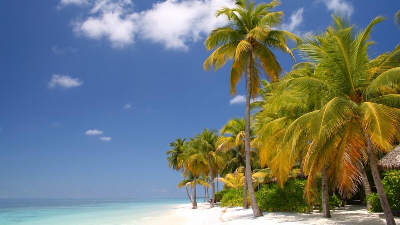 Photo of Others in Key Colony Beach