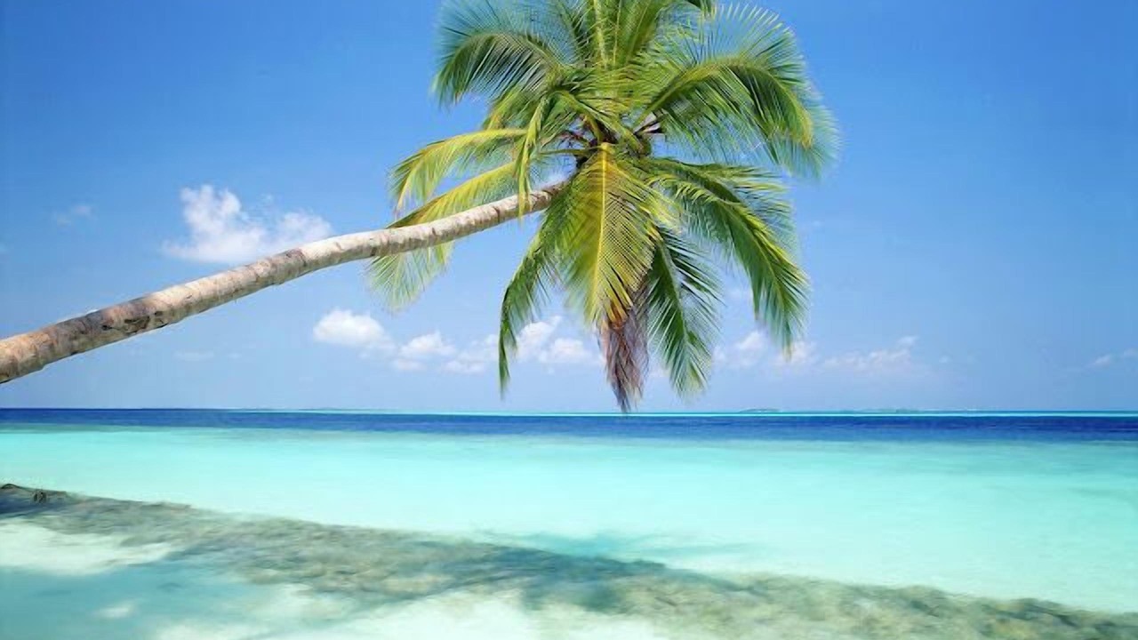 Photo of Others in Key Colony Beach