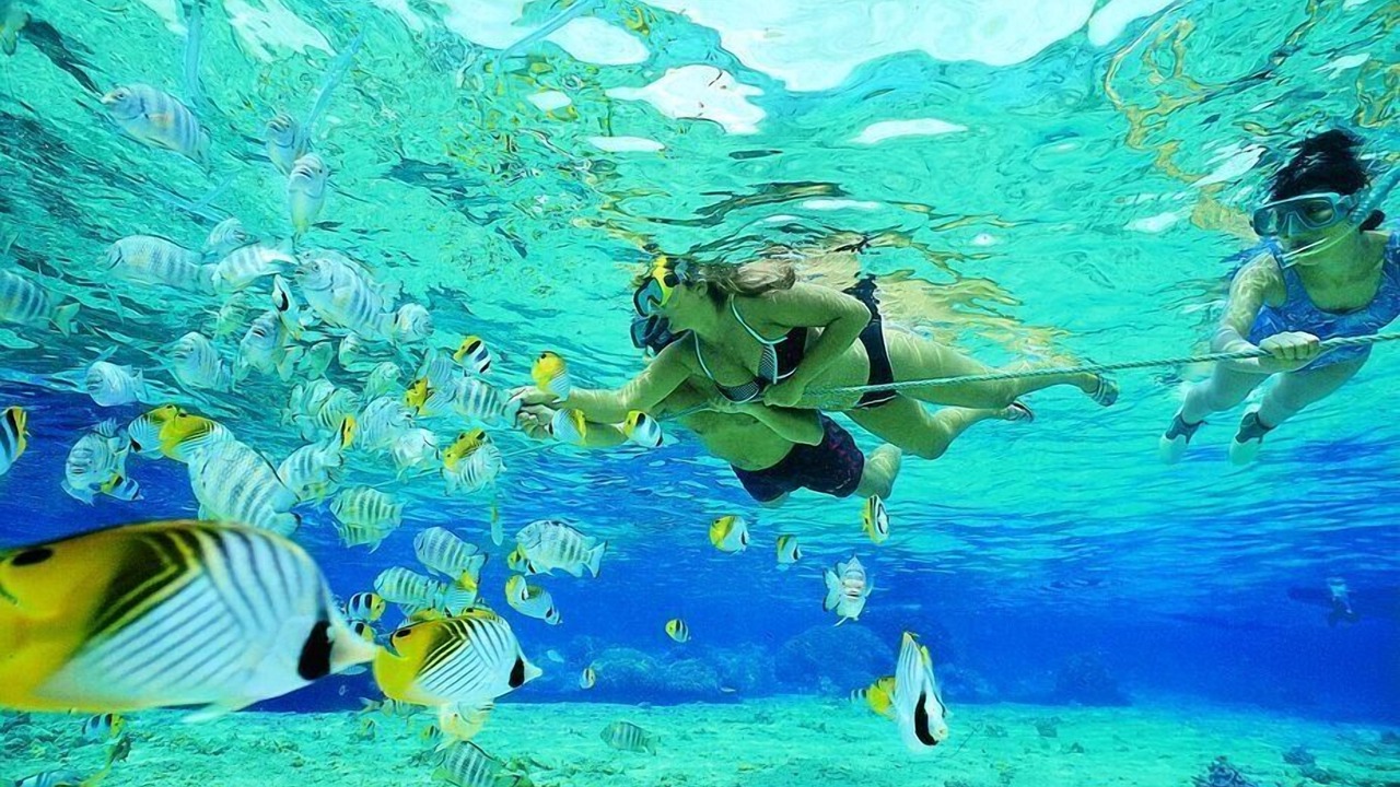 Photo of Others in Key Colony Beach