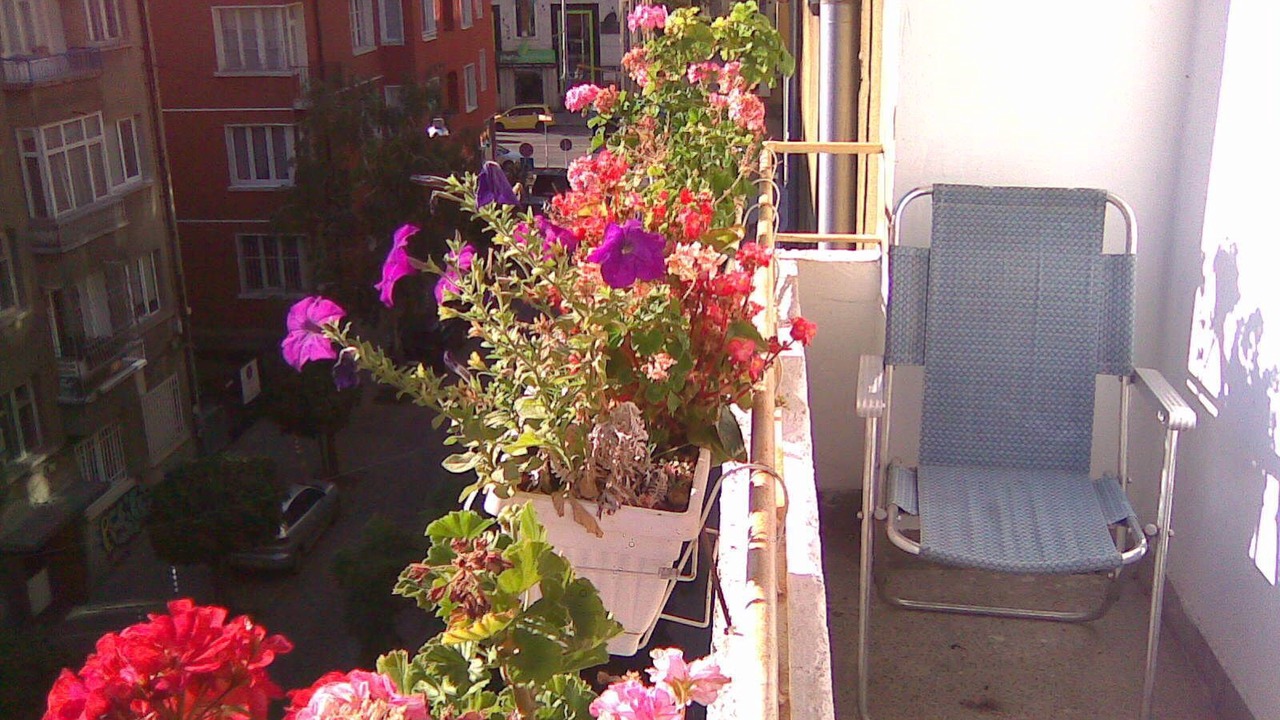 Photo of Outdoor in Sofia City Center