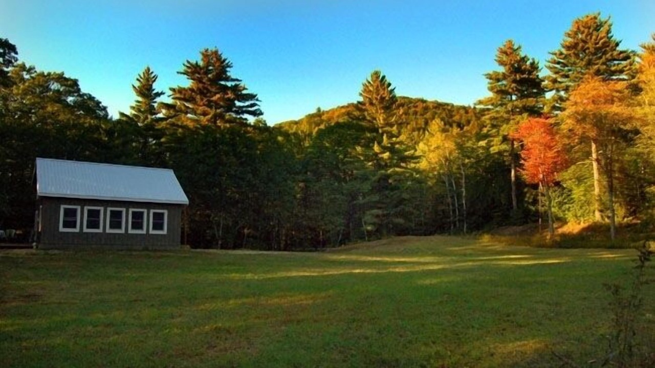 Photo of Outdoor in Thornton
