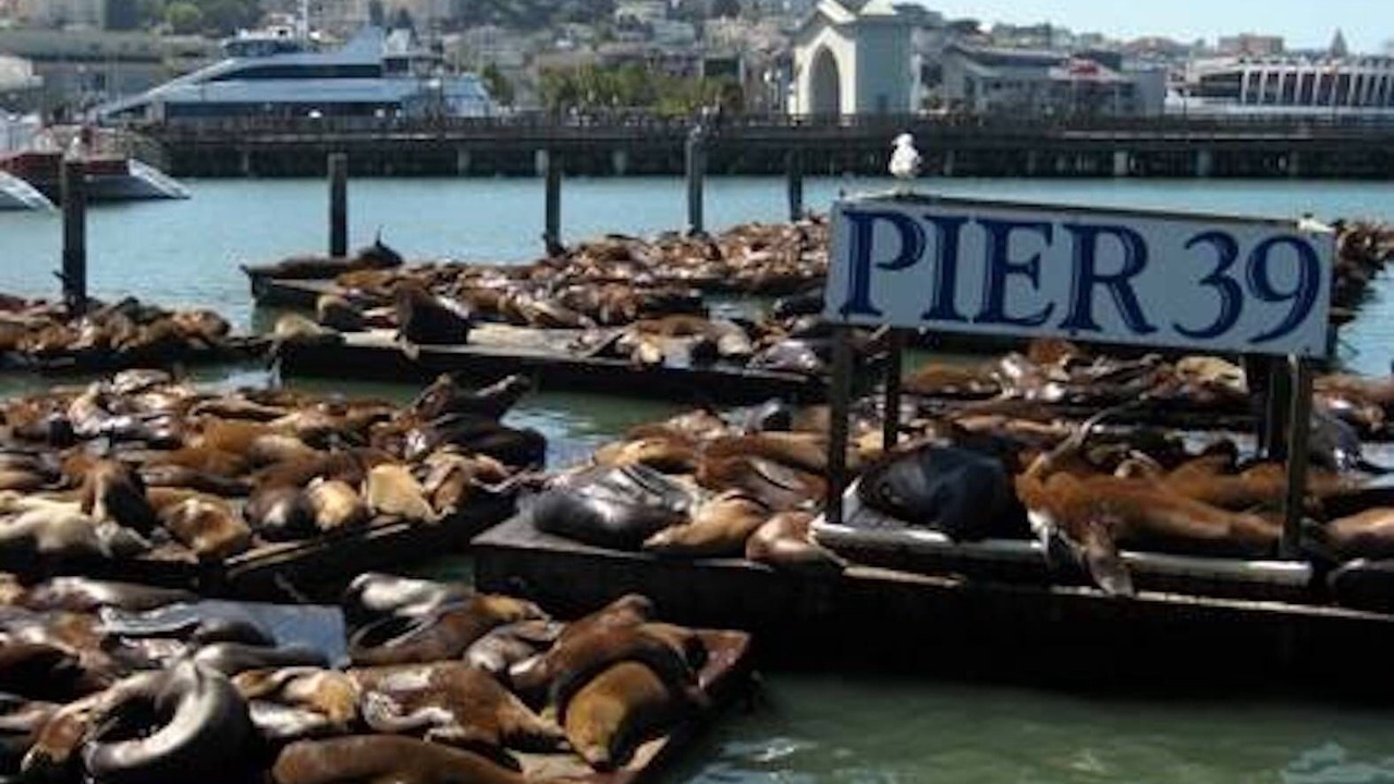 Photo of Others in Russian Hill