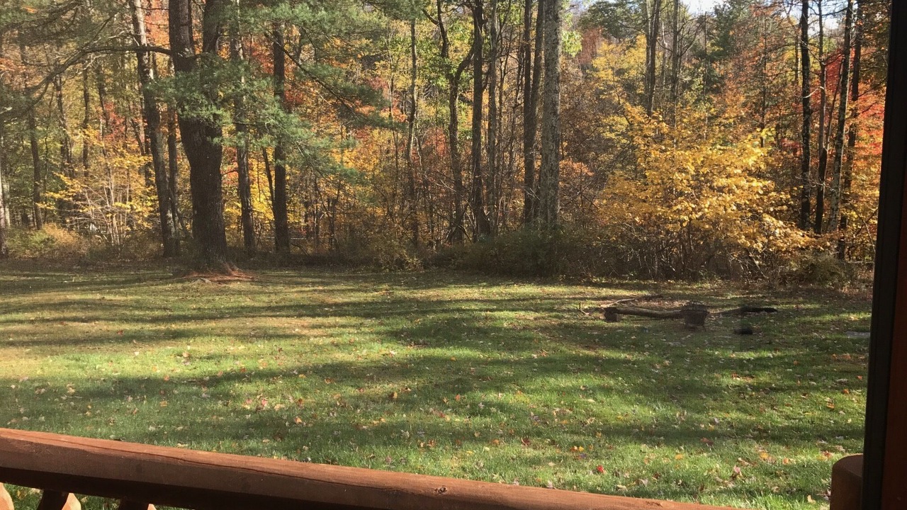 Photo of Outdoor in Willow