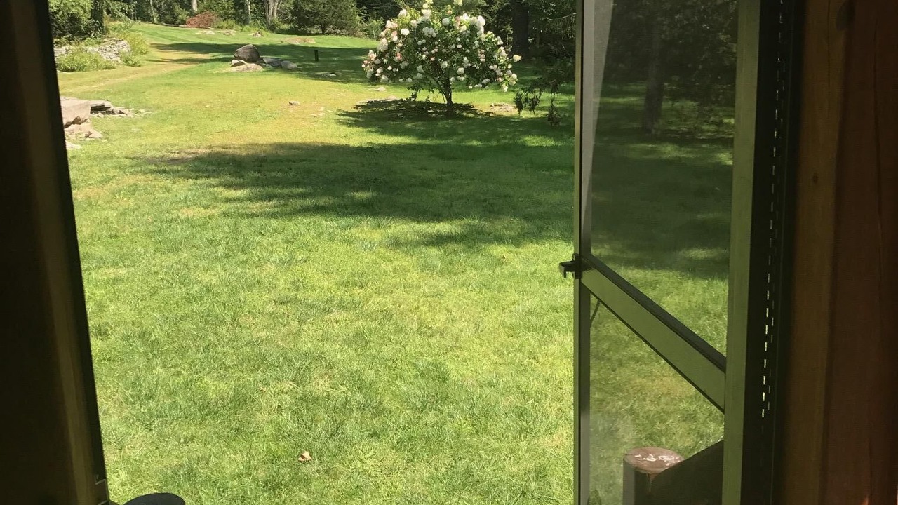 Photo of Outdoor in Willow