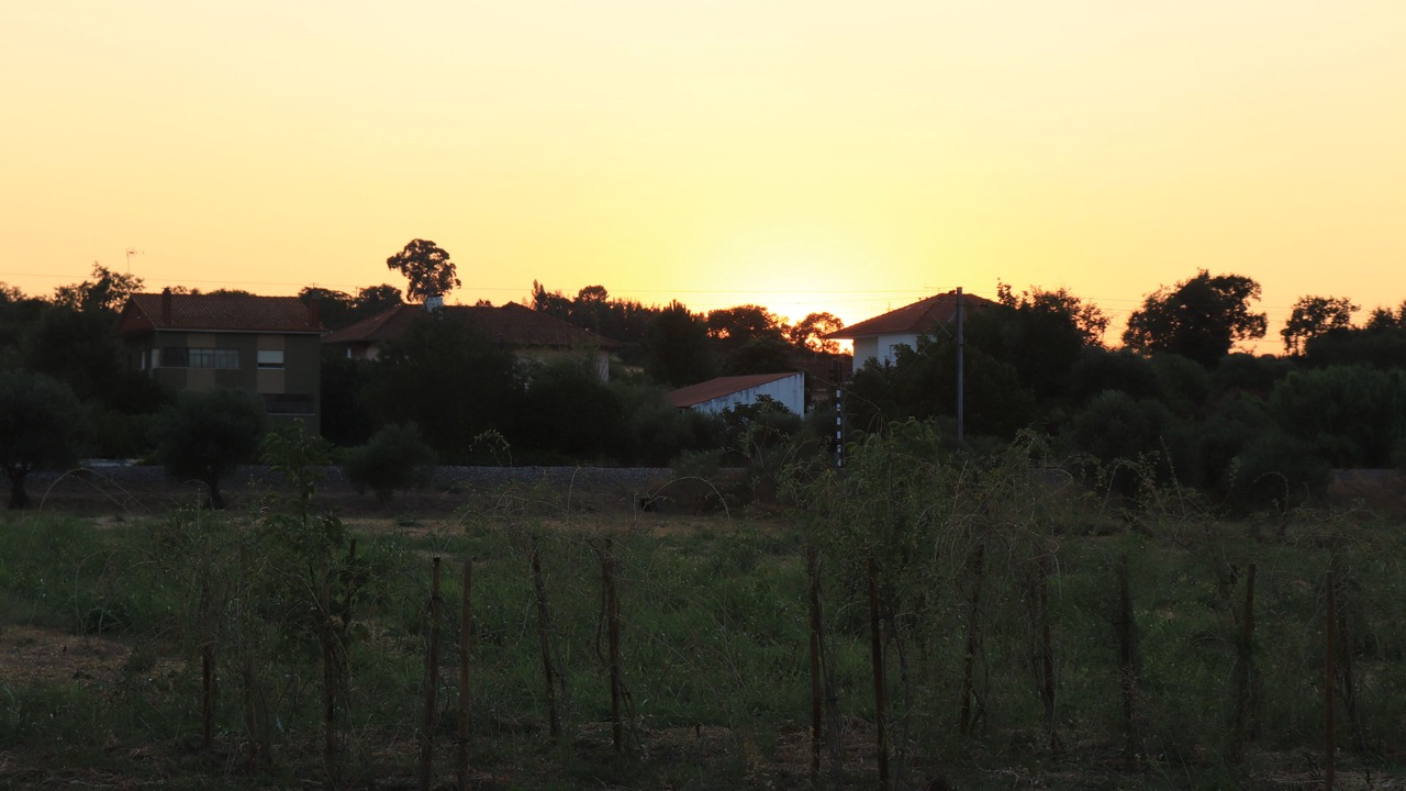 Photo of Outdoor in Santa Maria dos Olivais
