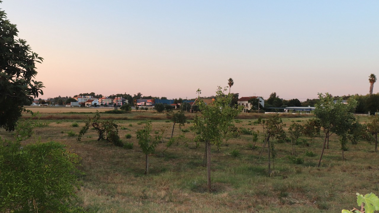 Photo of Outdoor in Santa Maria dos Olivais