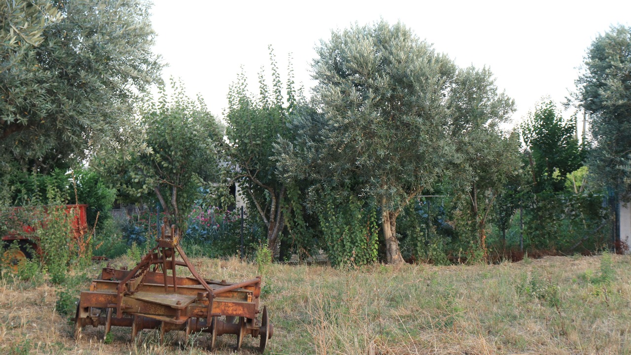 Photo of Outdoor in Santa Maria dos Olivais
