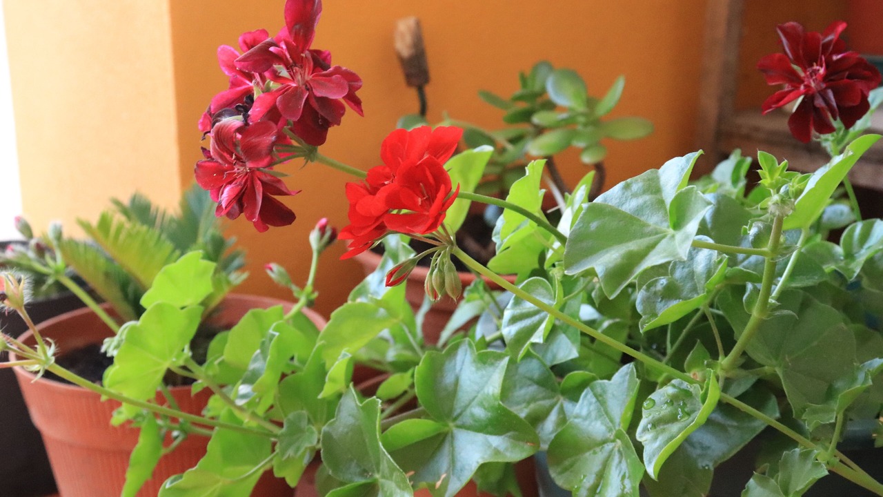 Photo of Outdoor in Santa Maria dos Olivais