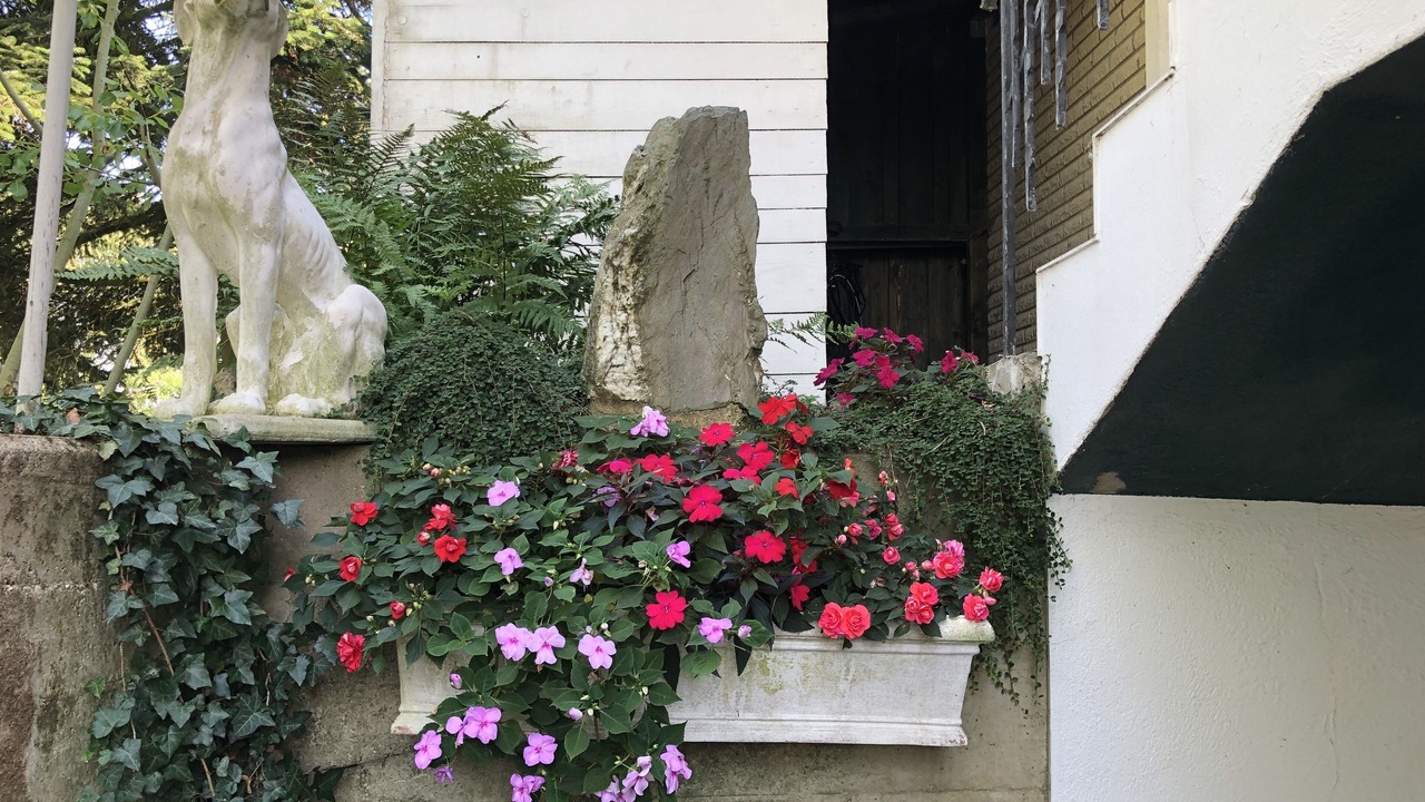 Photo of Outdoor in Vossenack