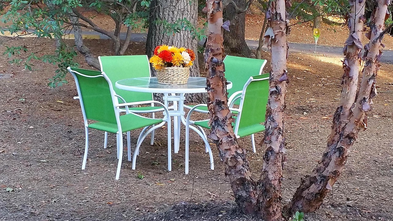 Photo of Outdoor in Shelton